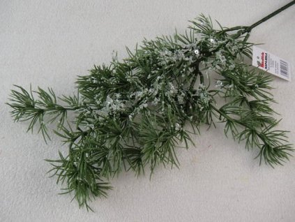 P8278043