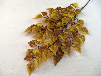 PA050215