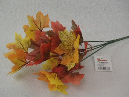 P9040005