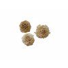 Cedar rose, cena za 4 ks  | sušina na aranžování, 4 ks, cca 6 cm