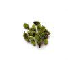 Šištičky Oshmantus, cena za 20 g  | sušina na aranžování, 20 g, cca 3 cm