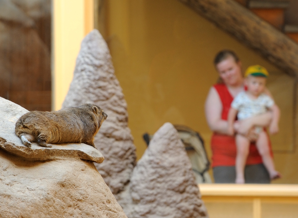 Zoo Plzeň s DinoParkem