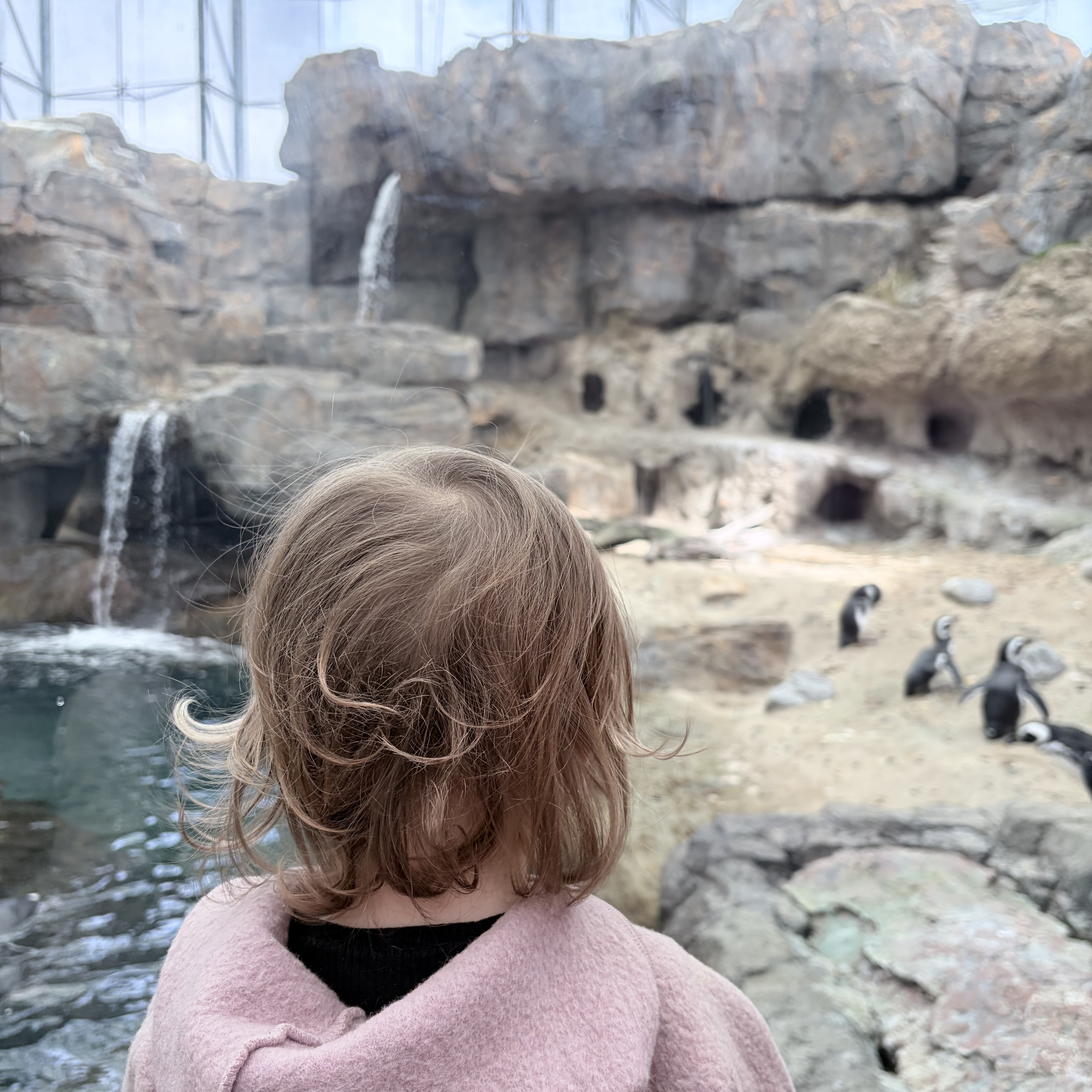 Návštěva Oceanário de Lisboa s dětmi