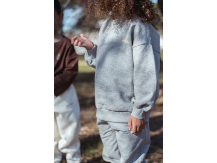 Focus sweatshirt grey