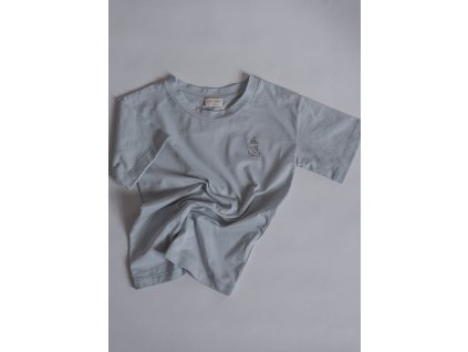 Honest t shirt light blue (1)