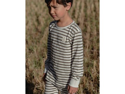 stripe
