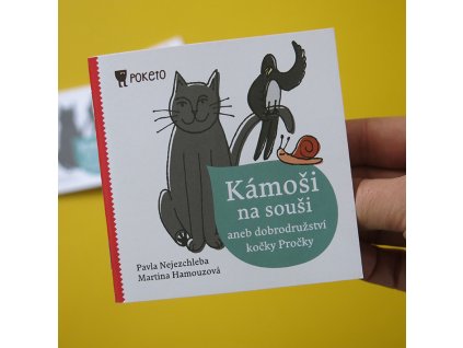 kamosi na sousi
