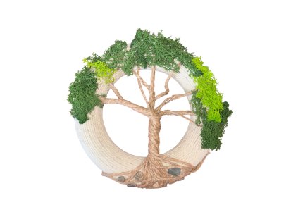 Photoroom 20260308 154356