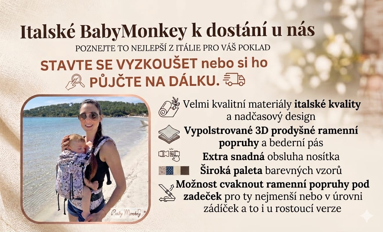 BabyMonkey