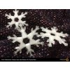 PLA Crystal Clear Fillamentum Snowflake