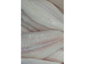 pangasius filety glazura do 5 5kg