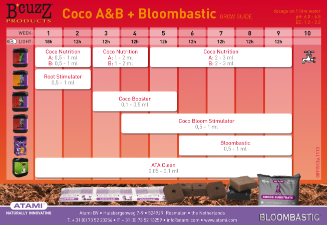 Bcuzz+BLB-CocoAB-653x450