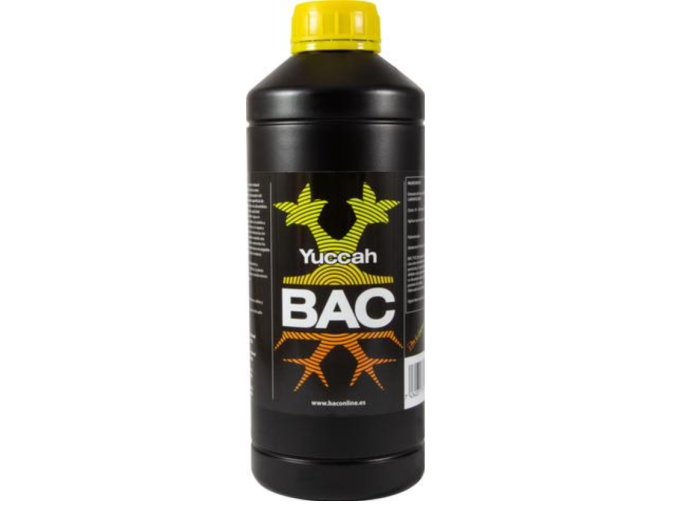 BAC Yucaah