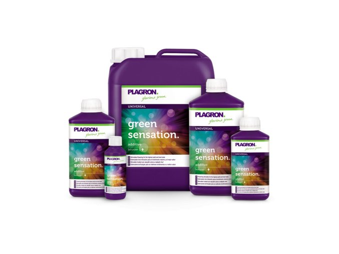 plagron green sensation