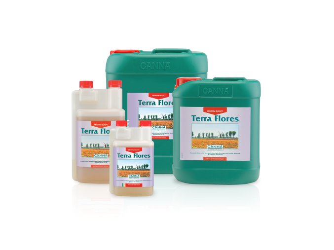 canna terra flores