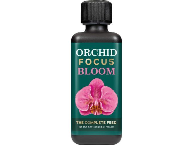 Growth Technology Orchid Focus Bloom
