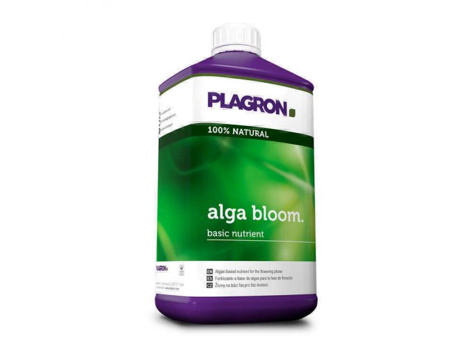 alga bloom 1