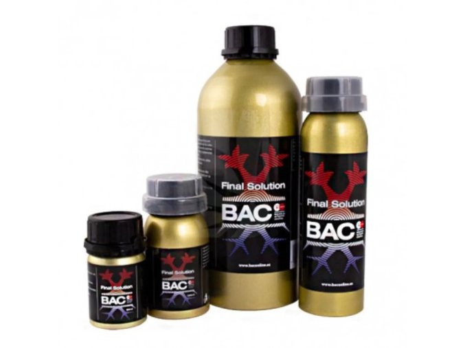 bac final solution