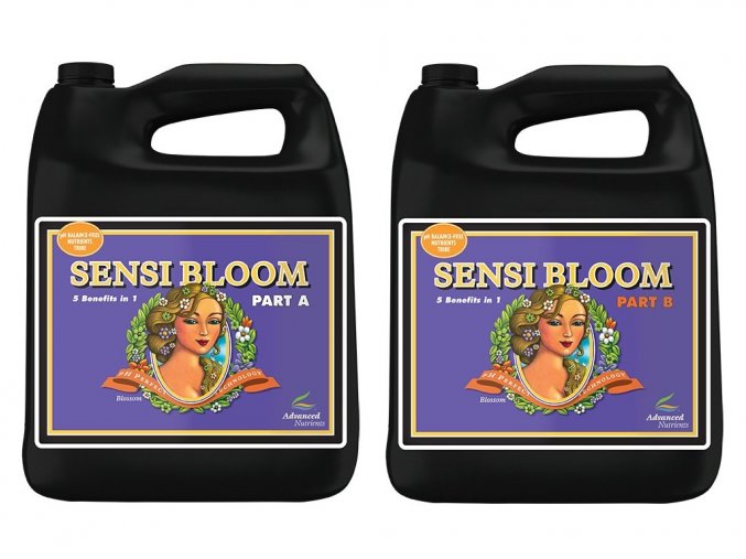 AN sensi bloom a+b 5l