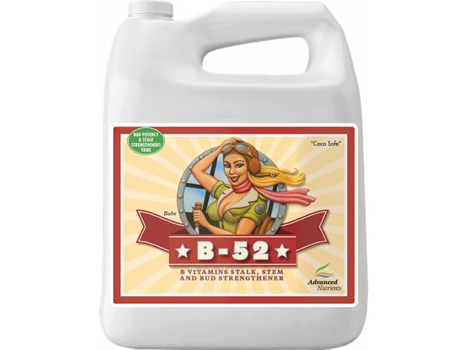 Advanced Nutrients B-52 4l