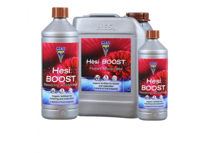 hesi boost