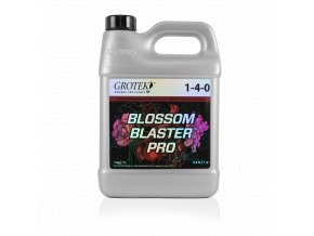 Blossom Blaster Pro