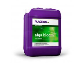 alga bloom 5