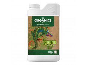 iguana grow