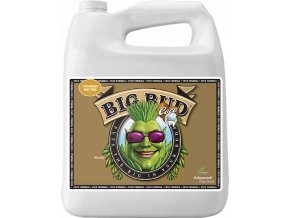 Advanced Nutrients Big Bud Coco 5l