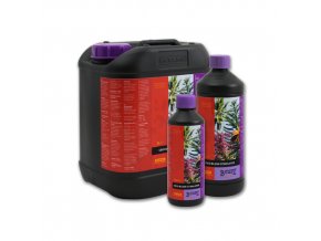 Atami B´cuzz Coco Bloom Stimulator 5l