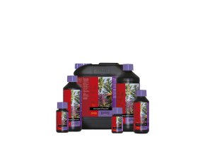 Bcuzz Coco Bloom Stimulator