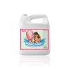 advanced nutrients bud candy 5l