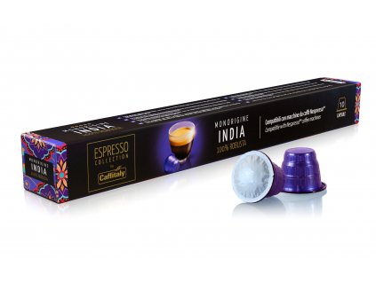 india nes
