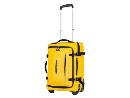 S42503 jaune 20 (3)