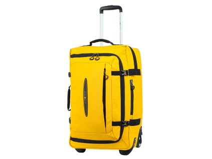 S42503 jaune 24 (3)