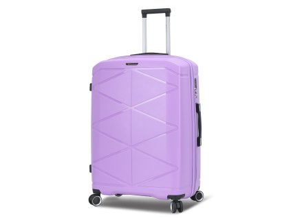 M51304 violet 28 (3)