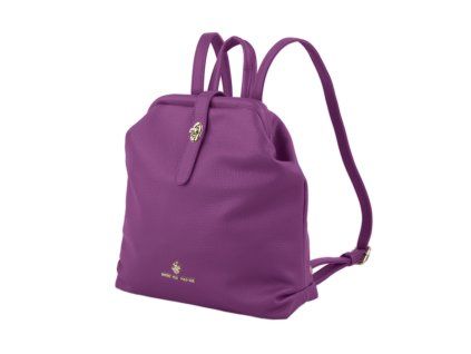 BH 4312 img 3 Viola