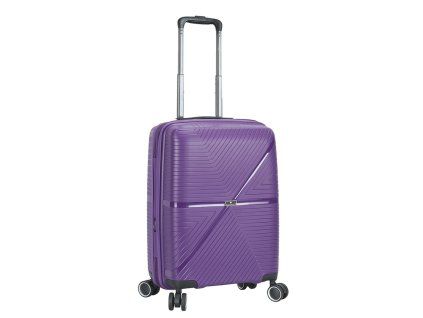 S54103 violet pensee 20 (2)