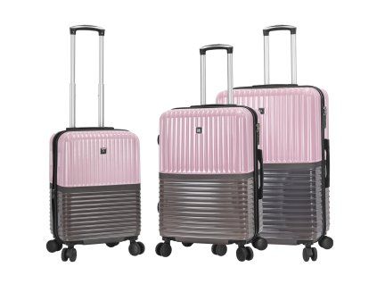 65303 set rose