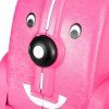 fuschia 11