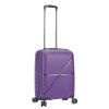 S54103 violet pensee 20 (19)