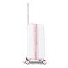 65203 rose 20 (8)