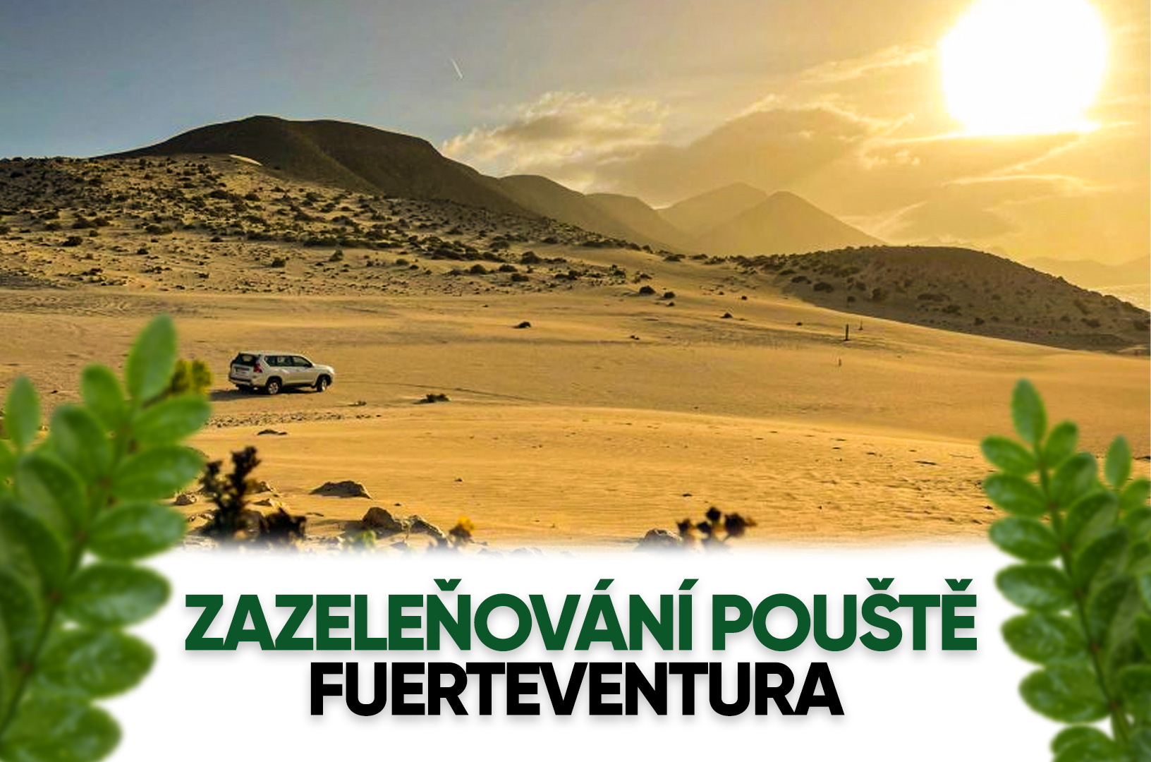 zazeleňování pouště Fuerteventura