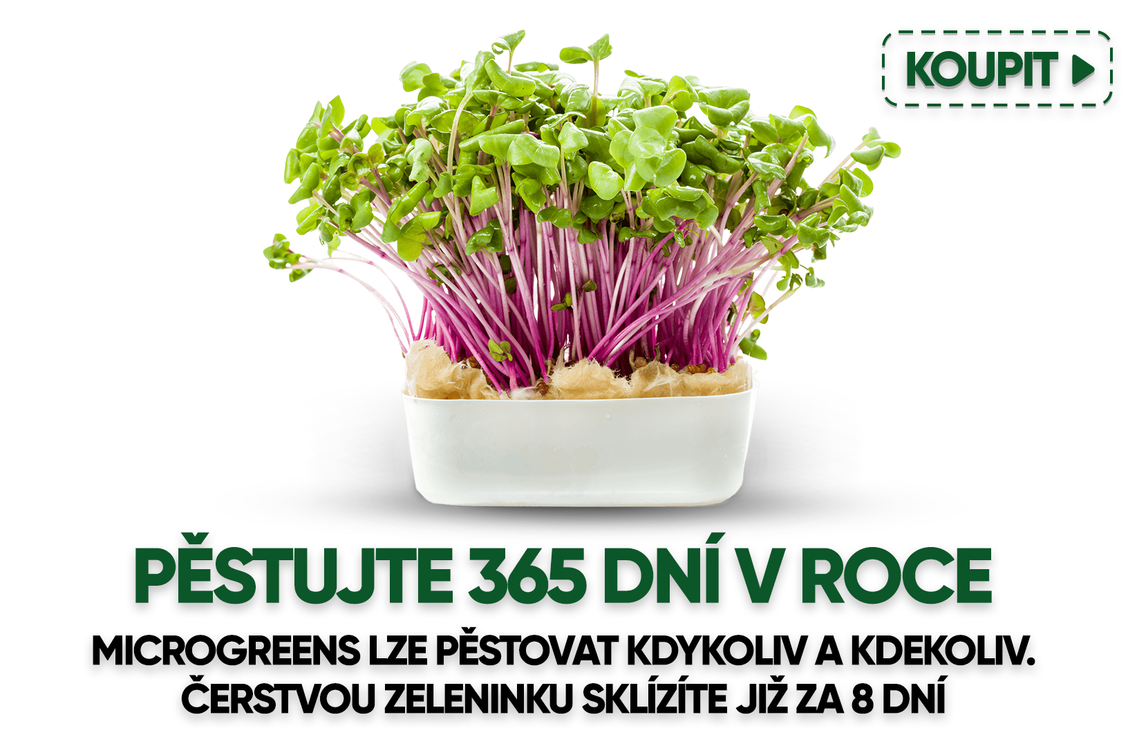 microgreensbox