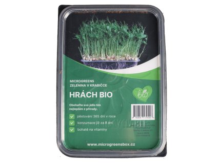 hrach 1000x1000px