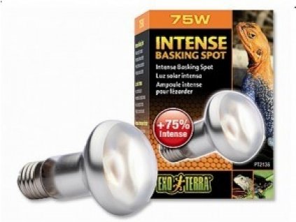Žárovka terarijní Intense Basking Spot 75W ExoTerra