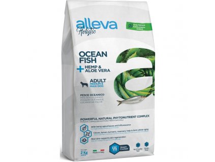 ZB012936 ocean 2kg