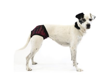 Hárací kalhotky Neon, černé