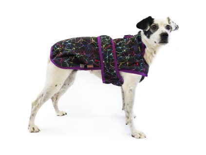 Obleček vesta Mycelio XL černá