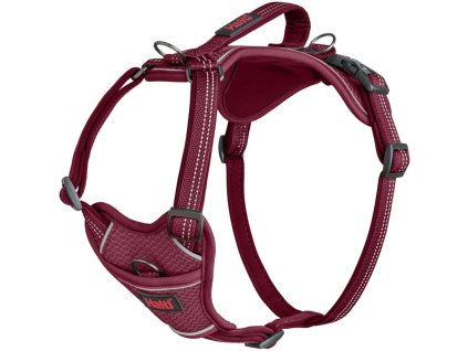Company of Animals Halti Anatomy postroj fuchsiový